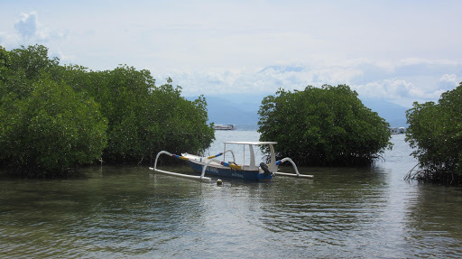 Mangrove Stop Restaurant